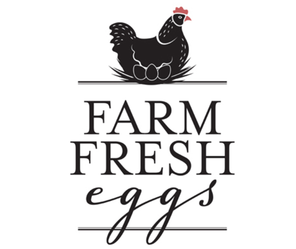 Fresh Local Eggs